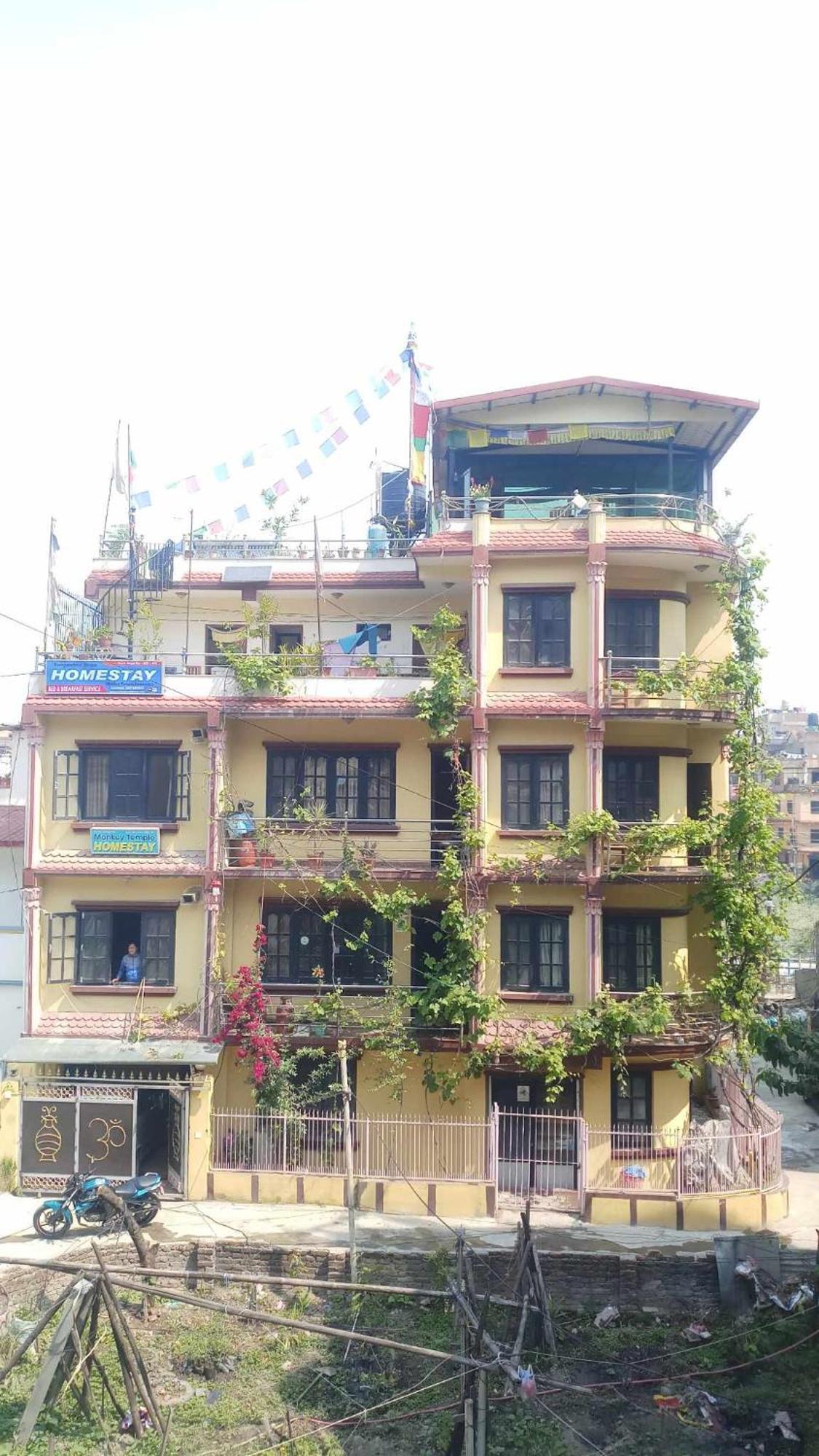 Homestay Monkey Temple *